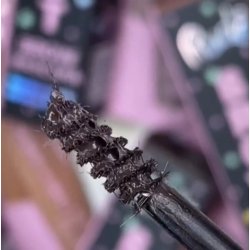 RUDE Brow Artist Brow Mascara - Black Brown